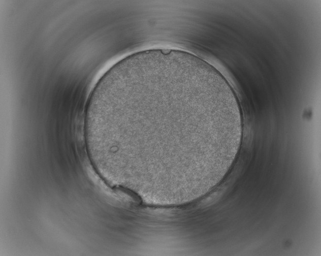 X0000112951004200910051214