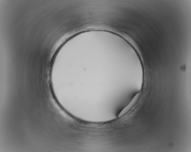 X0000112951005200910051214