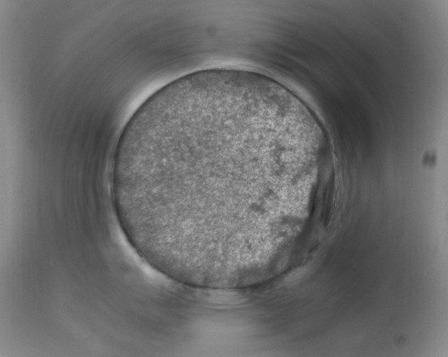 X0000112951007200910051214