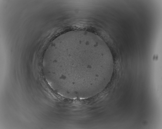 X0000112951009200910051213