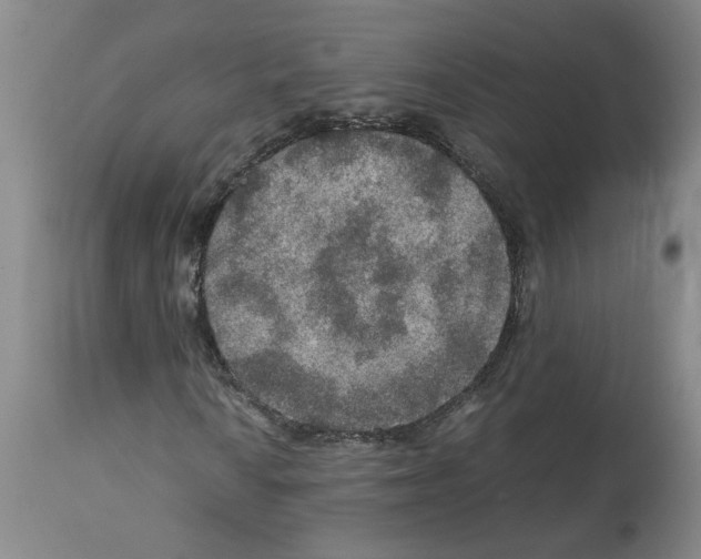 X0000112951010200910051213