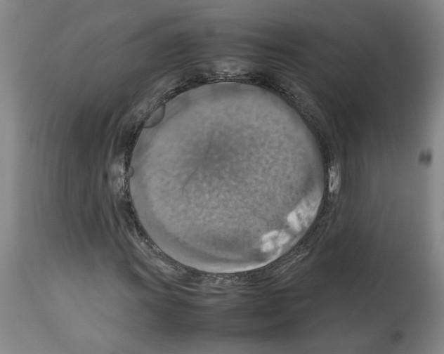 X0000112951011200910051214