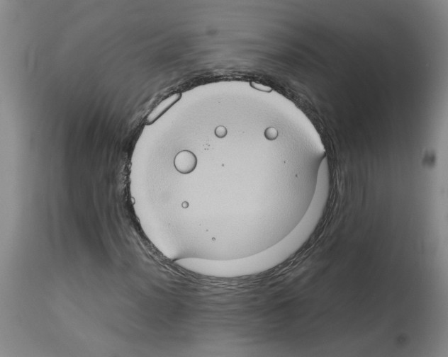 X0000112951012200910051214