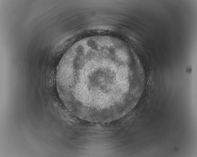 X0000112951014200910051214