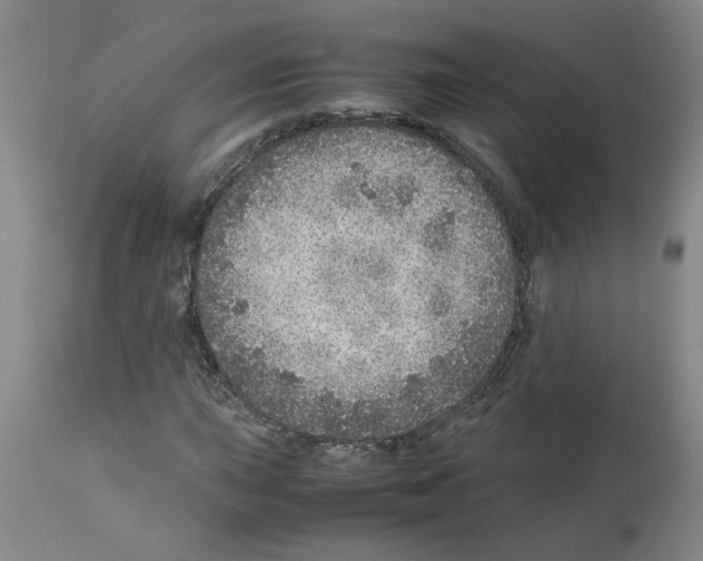 X0000112951015200910051214