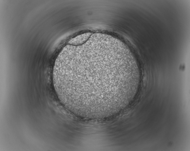 X0000112951016200910051214