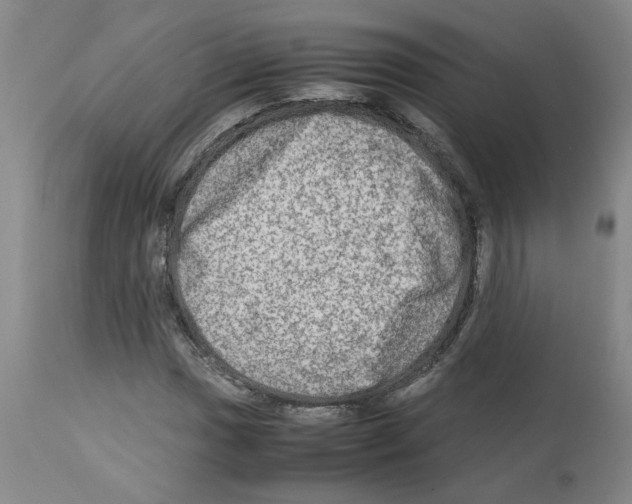 X0000112951017200910051214