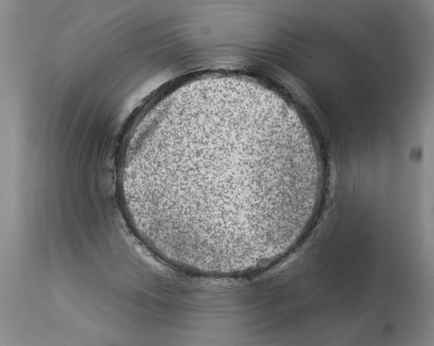 X0000112951018200910051214