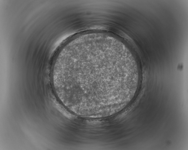X0000112951019200910051214