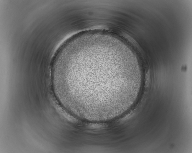 X0000112951021200910051214