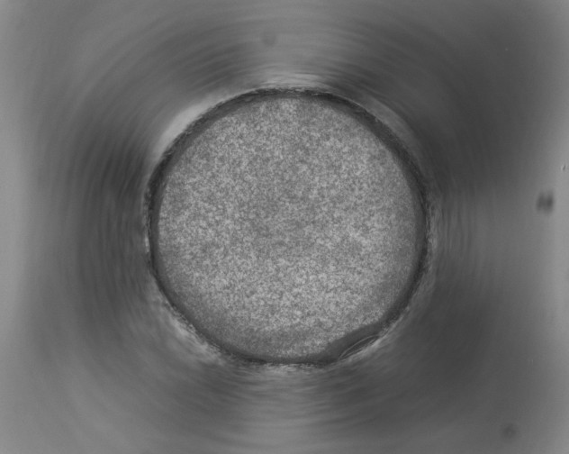 X0000112951022200910051214