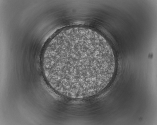 X0000112951023200910051214