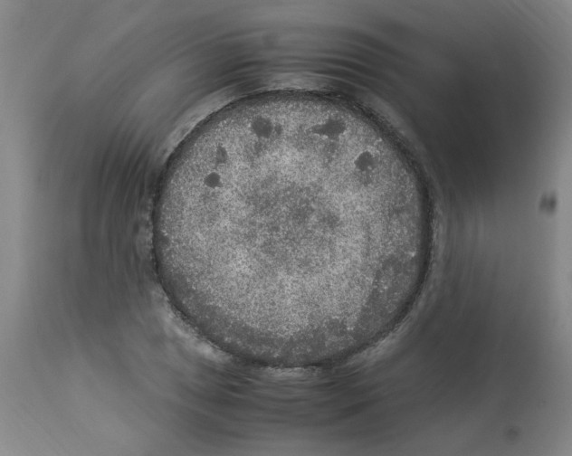 X0000112951025200910051214