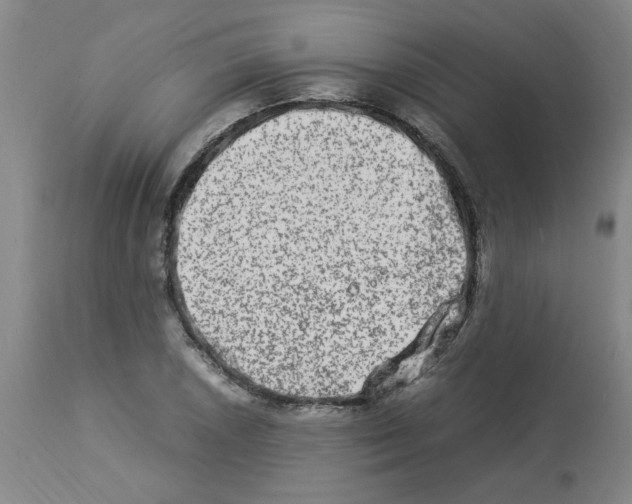 X0000112951026200910051214