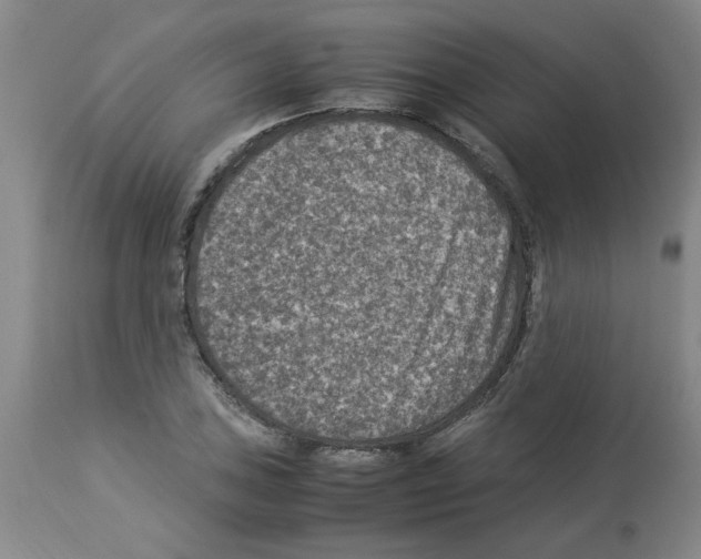 X0000112951027200910051214