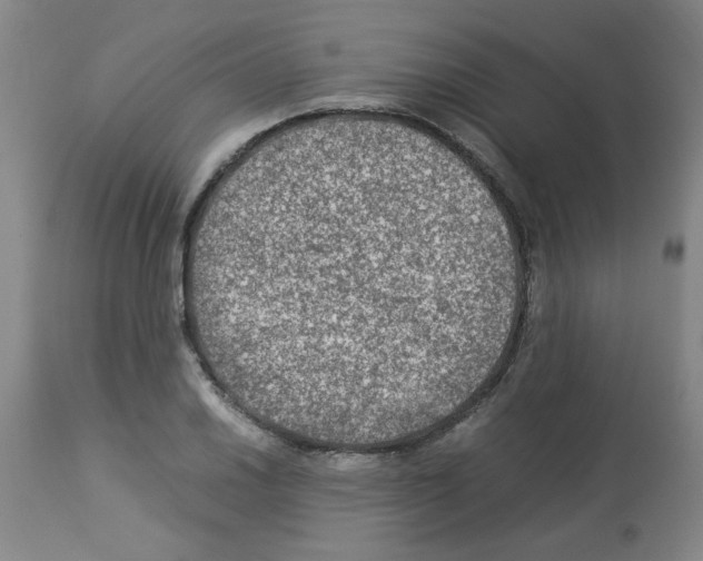X0000112951030200910051214