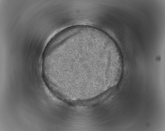 X0000112951032200910051214
