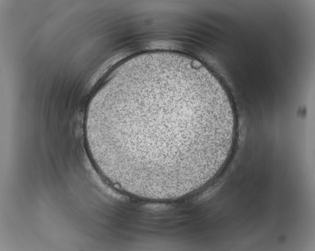 X0000112951033200910051214