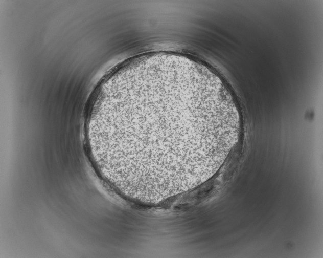 X0000112951034200910051214