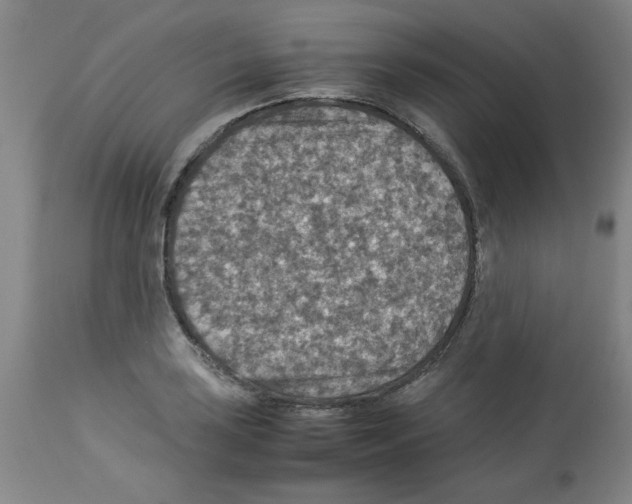 X0000112951035200910051214