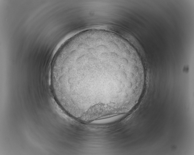 X0000112951036200910051214