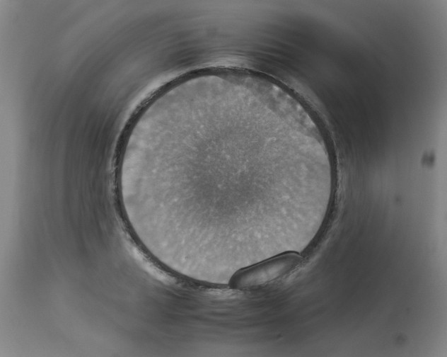 X0000112951037200910051214