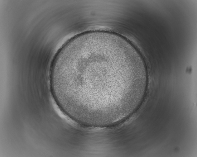 X0000112951038200910051214