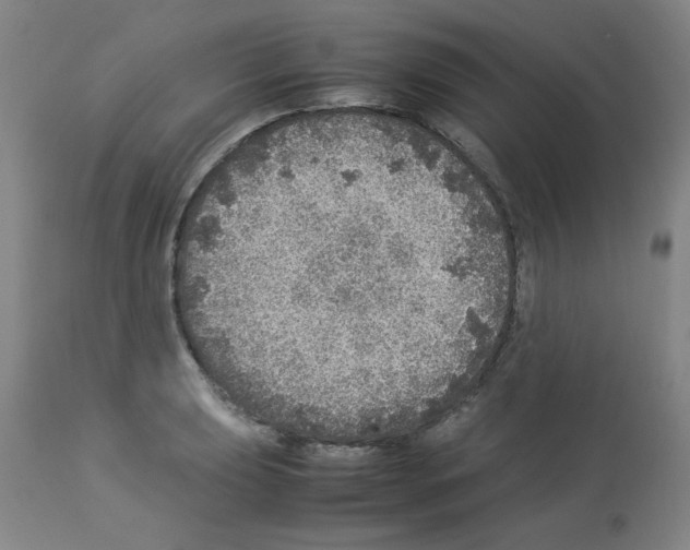 X0000112951039200910051214