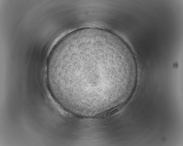 X0000112951040200910051214