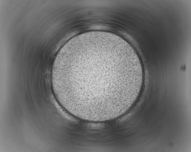 X0000112951041200910051214