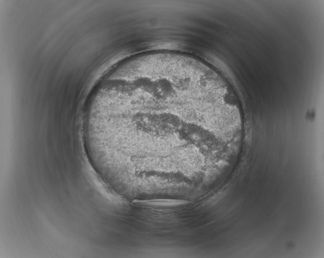 X0000112951043200910051214