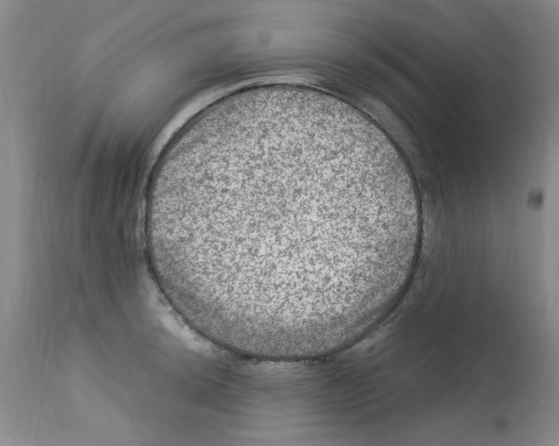 X0000112951044200910051214