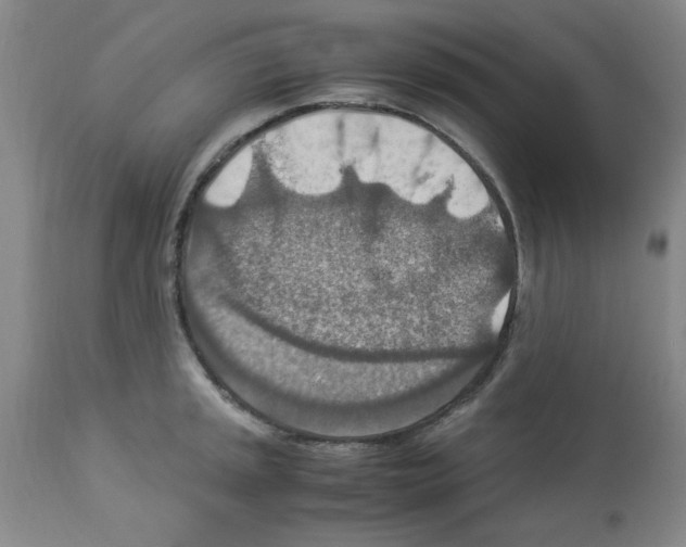 X0000112951045200910051214