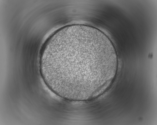 X0000112951046200910051214