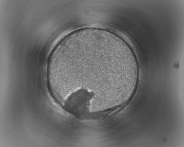 X0000112951048200910051214