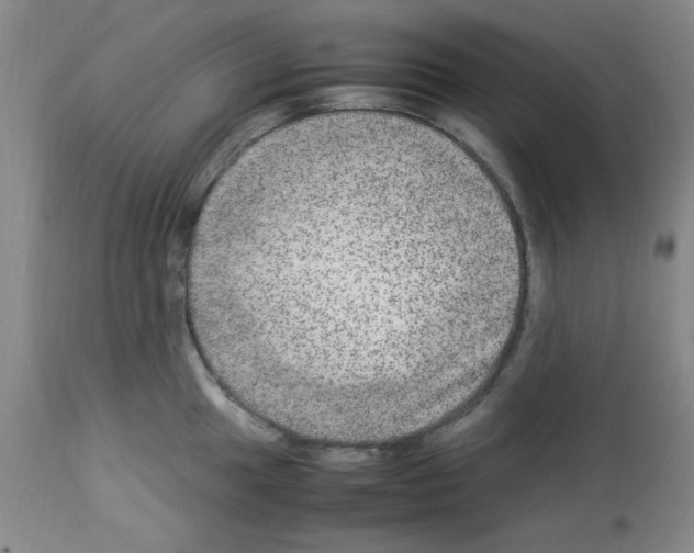 X0000112951049200910051214