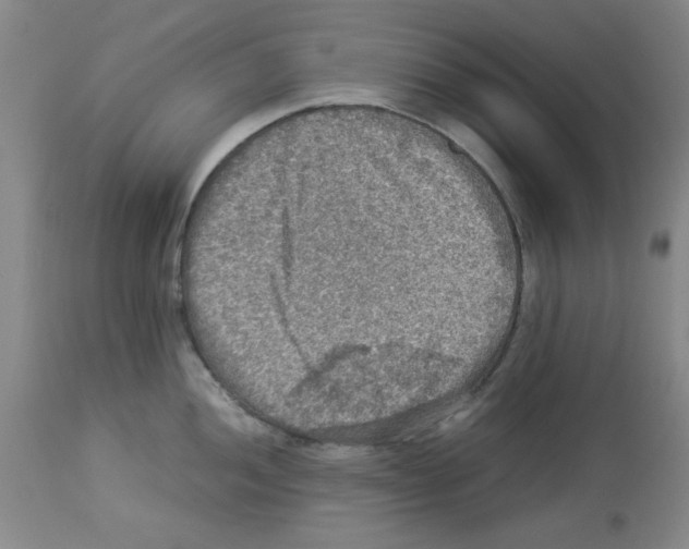 X0000112951052200910051214