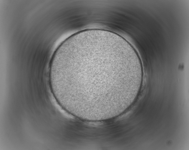 X0000112951053200910051214