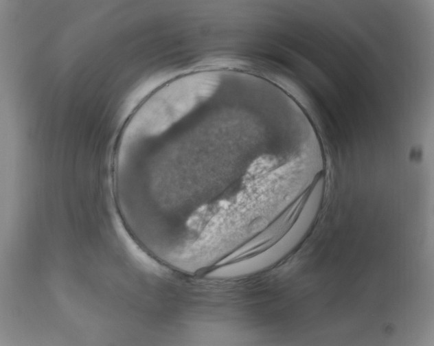 X0000112951055200910051214