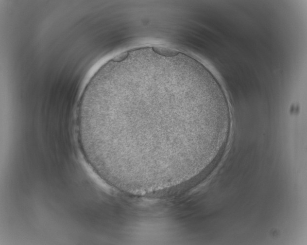 X0000112951056200910051214