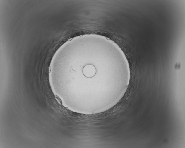 X0000112951057200910051213