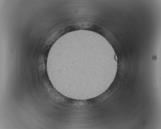 X0000112951058200910051213