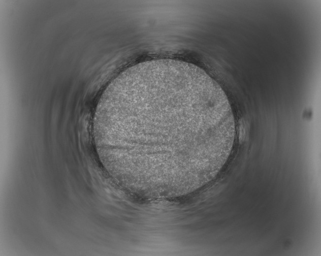 X0000112951059200910051213