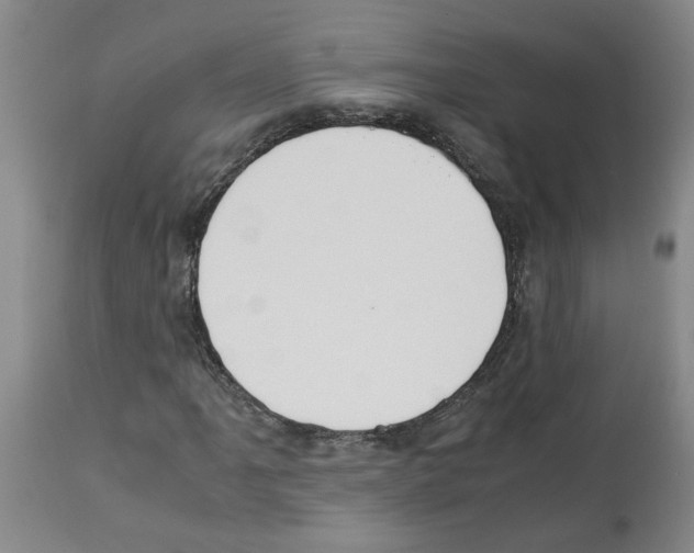 X0000112951061200910051213