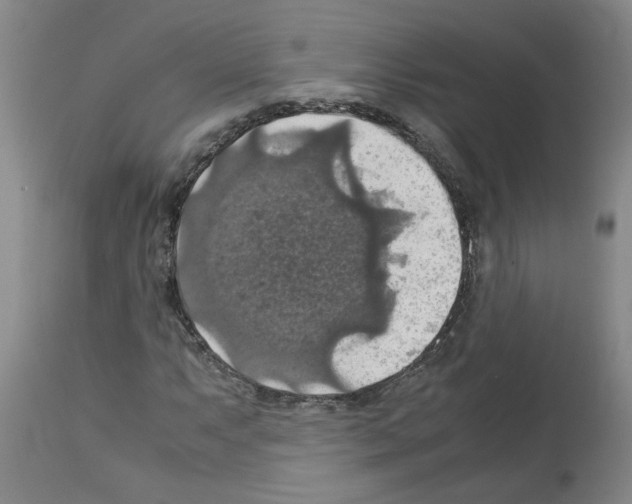 X0000112951063200910051213