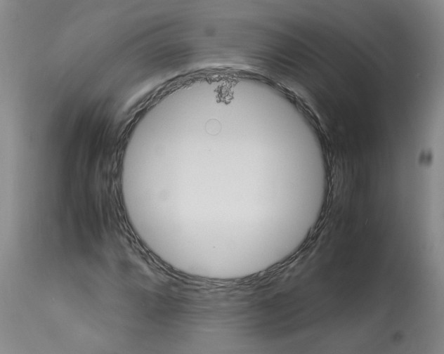 X0000112951064200910051213