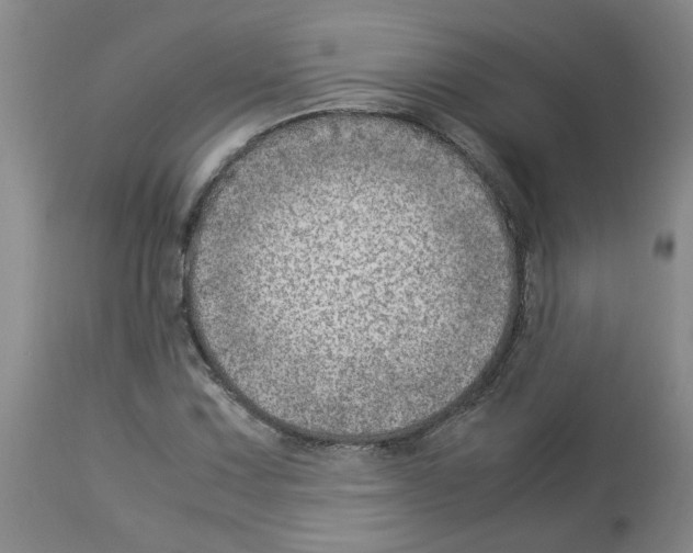 X0000112951067200910051213