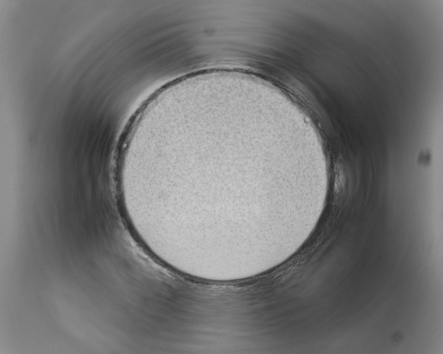 X0000112951068200910051213