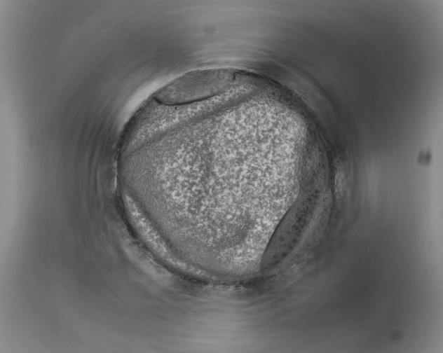 X0000112951069200910051213