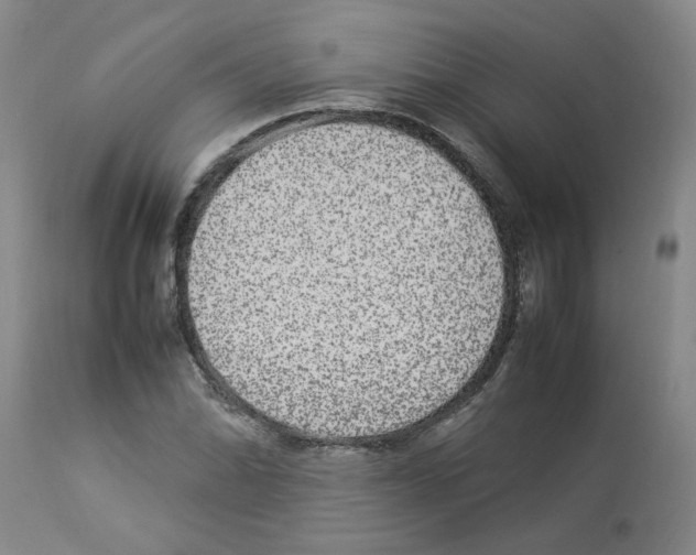 X0000112951070200910051213